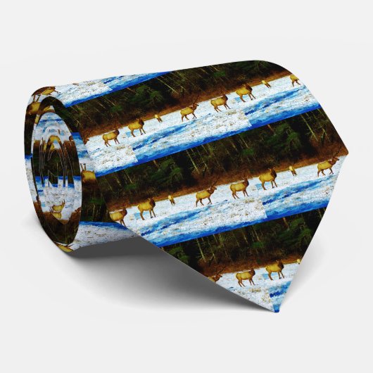 DSC00131.JPG ネクタイ (ロール)