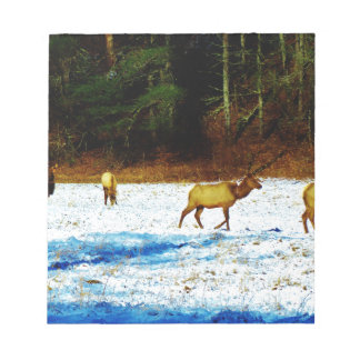 DSC00131.JPG ノートパッド