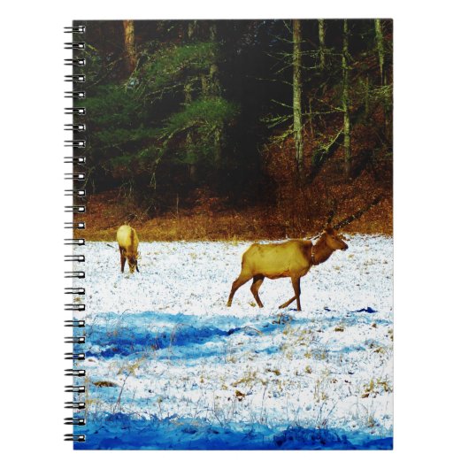 DSC00131.JPG ノートブック (正面)