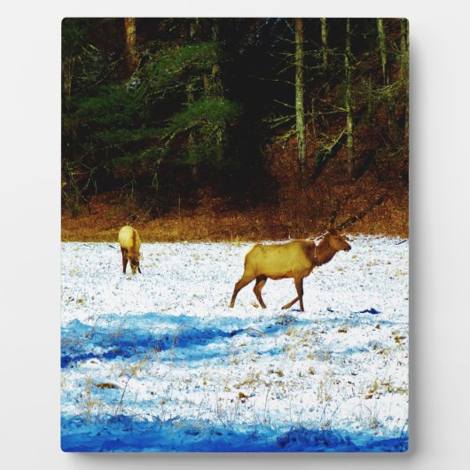 DSC00131.JPG フォトプラーク (正面)