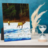 DSC00131.JPG フォトプラーク (側面)