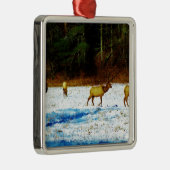 DSC00131.JPG メタルオーナメント (右)