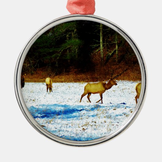 DSC00131.JPG メタルオーナメント (正面)