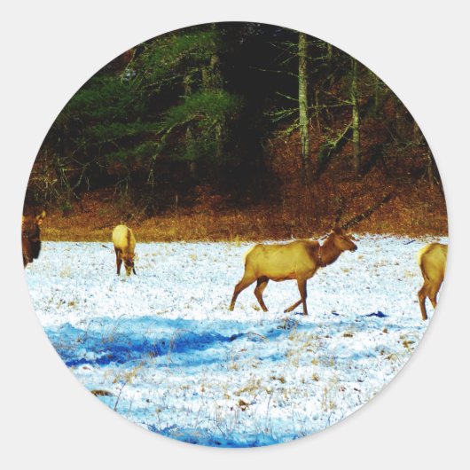 DSC00131.JPG ラウンドシール (正面)