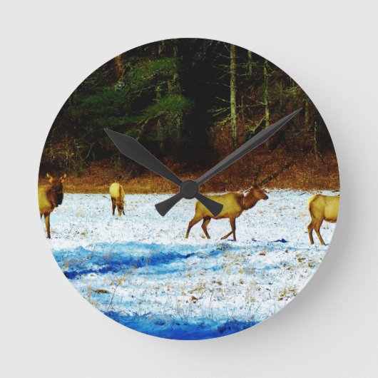 DSC00131.JPG ラウンド壁時計 (正面)