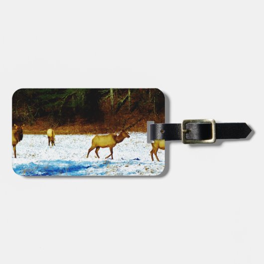 DSC00131.JPG ラゲッジタグ (正面横)