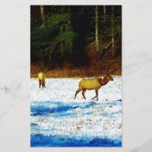 DSC00131.JPG 便箋 (正面)