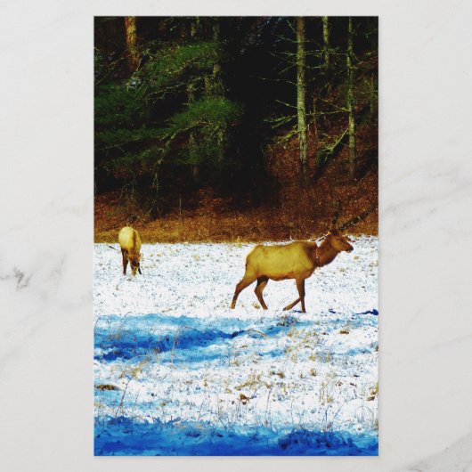 DSC00131.JPG 便箋 (正面)