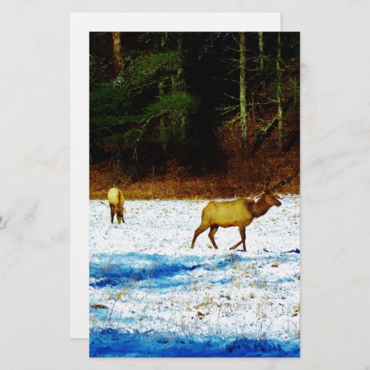 DSC00131.JPG 便箋 (正面/裏面)