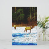 DSC00131.JPG 便箋 (スタンド正面)