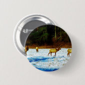 DSC00131.JPG 缶バッジ (正面&裏面)