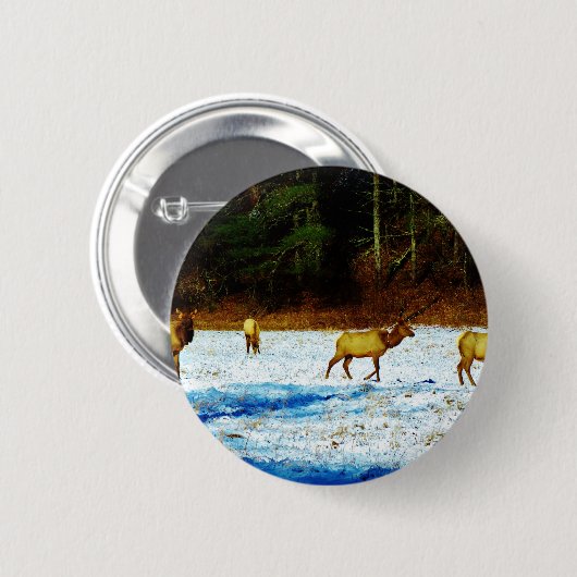 DSC00131.JPG 缶バッジ (正面&裏面)