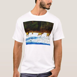 DSC00131.JPG Tシャツ