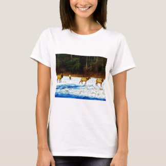 DSC00131.JPG Tシャツ