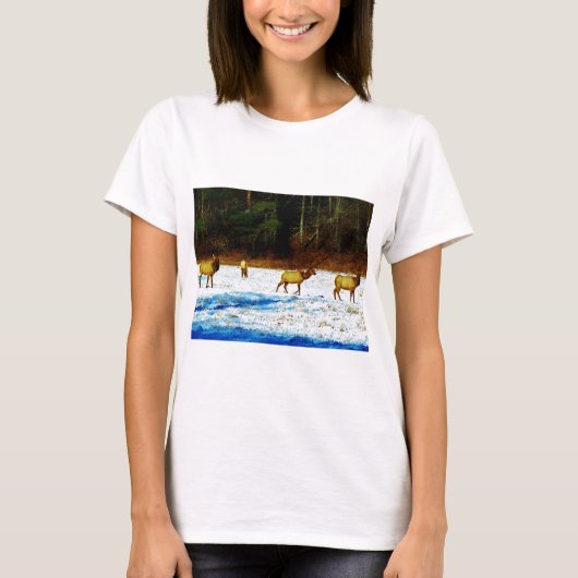 DSC00131.JPG Tシャツ (正面)