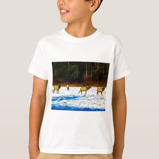 DSC00131.JPG Tシャツ (正面)