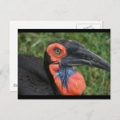 DSC00171 ポストカード (正面/裏面)