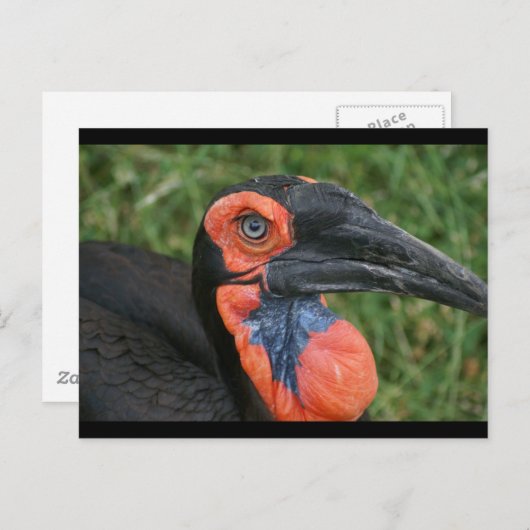 DSC00171 ポストカード (正面/裏面)