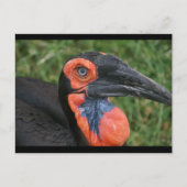 DSC00171 ポストカード (正面)