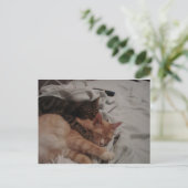 dsc00178[1] (2) ポストカード (スタンド正面)