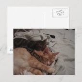 dsc00178[1] (2) ポストカード (正面/裏面)