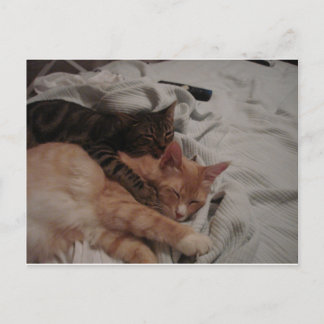 dsc00178[1] (2) ポストカード