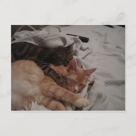 dsc00178[1] (2) ポストカード (正面)