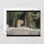 DSC00222 ポストカード (正面/裏面)