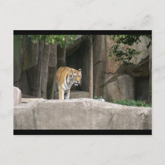 DSC00222 ポストカード