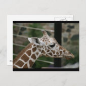 DSC00238 ポストカード (正面/裏面)