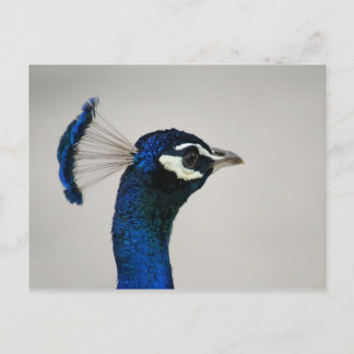 DSC00292 ポストカード