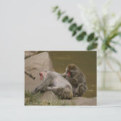 DSC00342 ポストカード (スタンド正面)