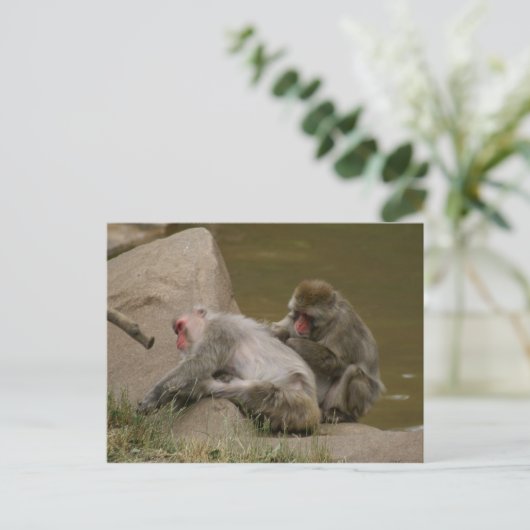 DSC00342 ポストカード (スタンド正面)