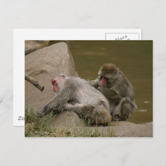 DSC00342 ポストカード (正面/裏面)