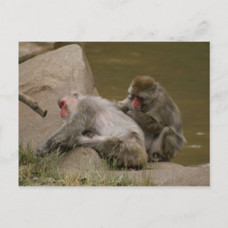 DSC00342 ポストカード