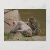 DSC00342 ポストカード (正面)