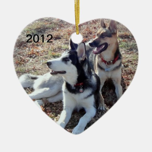 DSC00345a.jpg 2012年 セラミックオーナメント (正面)