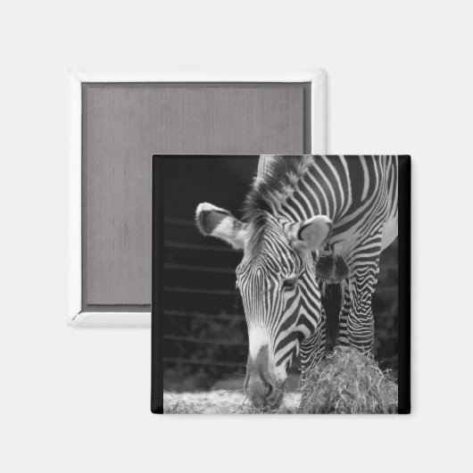 DSC01614 a マグネット (正面/裏面)