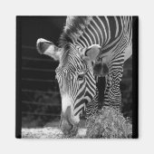 DSC01614 a マグネット (正面)