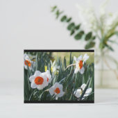 DSC01730 a ポストカード (スタンド正面)