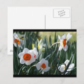 DSC01730 a ポストカード (正面/裏面)