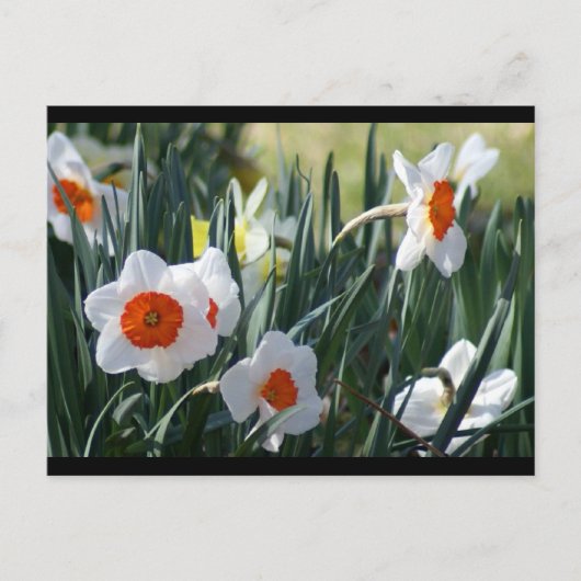 DSC01730 a ポストカード (正面)