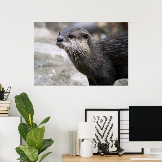 DSC01768 ポスター (ホームオフィス)