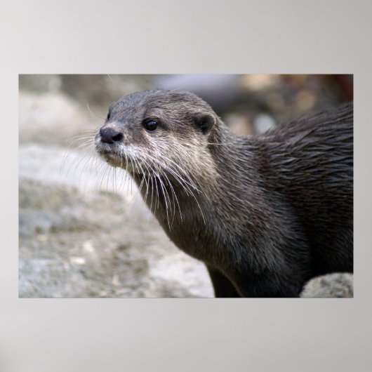 DSC01768 ポスター (正面)