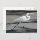 DSC02335 ポストカード (正面/裏面)