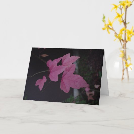 DSC02372 カード (黄色い花)