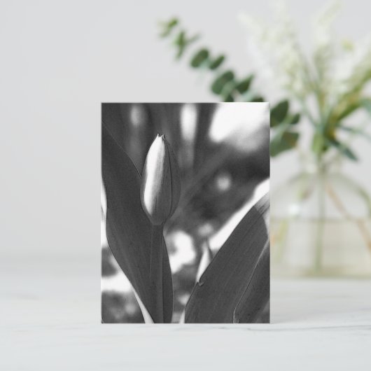 DSC02422c ポストカード (スタンド正面)