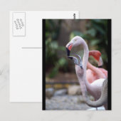 DSC02490 ポストカード (正面/裏面)