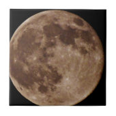 DSC02662.JPG タイル (正面)