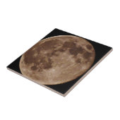 DSC02662.JPG タイル (側面)